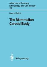 The Mammalian Carotid Body