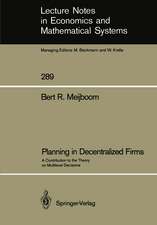 Planning in Decentralized Firms: A Contribution to the Theory on Multilevel Decisions