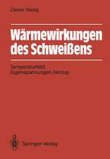 Wärmewirkungen des Schweißens: Temperaturfeld, Eigenspannungen, Verzug