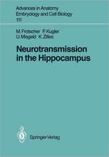 Neurotransmission in the Hippocampus