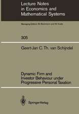 Dynamic Firm and Investor Behaviour under Progressive Personal Taxation