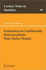 Estimation in Conditionally Heteroscedastic Time Series Models