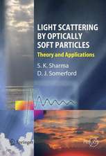 Light Scattering by Optically Soft Particles