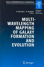 Multiwavelength Mapping of Galaxy Formation and Evolution: Proceedings of the ESO Workshop Held at Venice, Italy, 13-16 October 2003