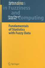 Fundamentals of Statistics with Fuzzy Data