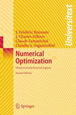 Numerical Optimization: Theoretical and Practical Aspects