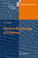 Electron Microscopy of Polymers