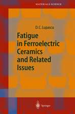 Fatigue in Ferroelectric Ceramics and Related Issues