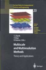 Multiscale and Multiresolution Methods: Theory and Applications