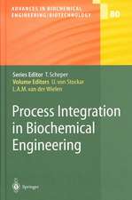 Process Integration in Biochemical Engineering