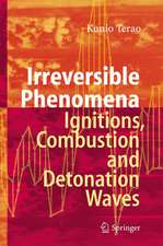 Irreversible Phenomena: Ignitions, Combustion and Detonation Waves