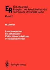 Lastmanagement bei zeitvariabler Elektrizitätspreisbildung in Industriebetrieben