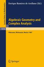 Algebraic Geometry and Complex Analysis: Proceedings of the Workshop held in Patzcuaro, Michoacan, Mexico, Aug. 10-14, 1987