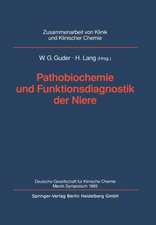 Pathobiochemie und Funktionsdiagnostik der Niere: Deutsche Gesellschaft für Klinische Chemie Merck-Symposium 1989