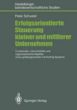 Erfolgsorientierte Steuerung kleiner und mittlerer Unternehmen: Funktionale, instrumentelle und organisatorische Aspekte eines größengerechten Controlling-Systems