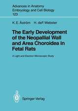 The Early Development of the Neopallial Wall and Area Choroidea in Fetal Rats