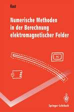 Numerische Methoden in der Berechnung elektromagnetischer Felder