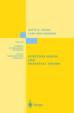 Function Spaces and Potential Theory