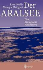 Der Aralsee: Eine ökologische Katastrophe