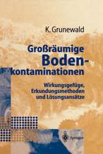 Großräumige Bodenkontaminationen: Wirkungsgefüge, Erkundungsmethoden und Lösungsansätze