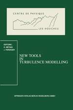 New Tools in Turbulence Modelling: Les Houches School, May 21–31, 1996