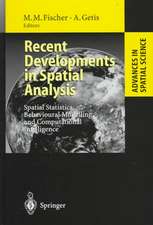 Recent Developments in Spatial Analysis