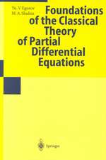 Foundations of the Classical Theory of Partial Differential Equations