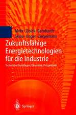 Zukunftsfähige Energietechnologien für die Industrie: Technische Grundlagen, Ökonomie, Perspektiven