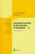 Cartesian Currents in the Calculus of Variations II: Variational Integrals