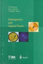 Androgenesis and Haploid Plants