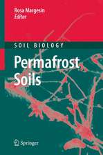 Permafrost Soils