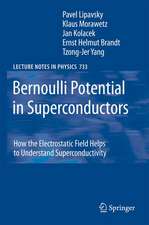 Bernoulli Potential in Superconductors: How the Electrostatic Field Helps to Understand Superconductivity