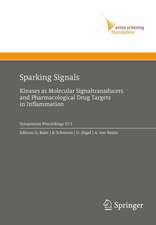 Sparking Signals: Kinases as Molecular Signaltransducers and Pharmacological Drug Targets in Inflammation