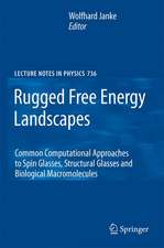 Rugged Free Energy Landscapes