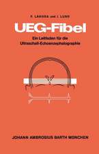 UEG-Fibel: Ein Leitfaden für die Ultraschall-Echoenzephalographie