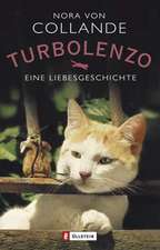 Turbolenzo