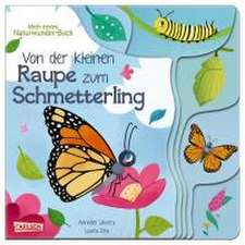 Von der kleinen Raupe zum Schmetterling