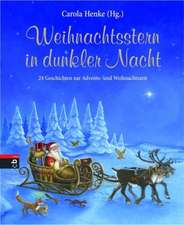 Weihnachtsstern in dunkler Nacht