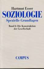 Soziologie. Spezielle Grundlagen 2