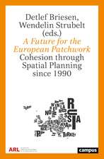 A Future for the European Patchwork: Cohesion through Spatial Planning since 1990