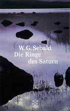 Die Ringe des Saturn