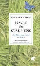 Magie des Staunens