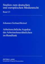 Arbeitsrechtliche Aspekte Der Arbeitnehmeraehnlichen Im Rundfunk