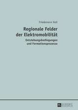 Regionale Felder Der Elektromobilitaet: Entstehungsbedingungen Und Formationsprozesse