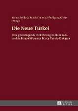 Die Neue Tuerkei: A Solution for an Ageing Labour Force?