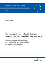 Förderung der Erneuerbaren Energien im deutschen und türkischen Rechtssystem