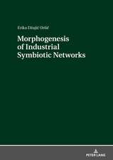 Morphogenesis of Industrial Symbiotic Networks