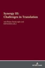 Synergy III: Challenges in Translation