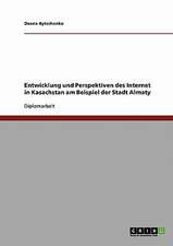 Entwicklung und Perspektiven des Internet in Kasachstan am Beispiel der Stadt Almaty