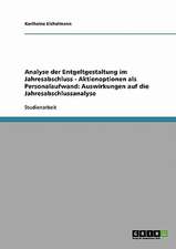 Analyse der Entgeltgestaltung im Jahresabschluss - Aktienoptionen als Personalaufwand: Auswirkungen auf die Jahresabschlussanalyse